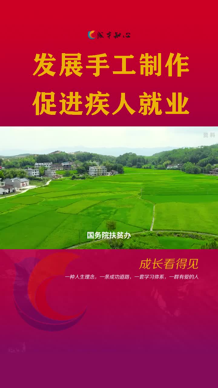 政策解读-发展手工制作促进残疾人就业